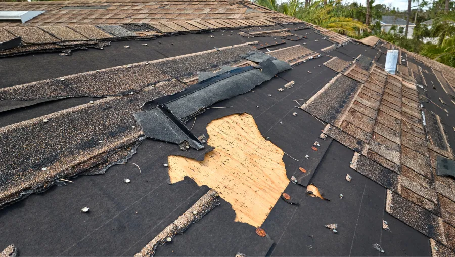 Storm Damage
