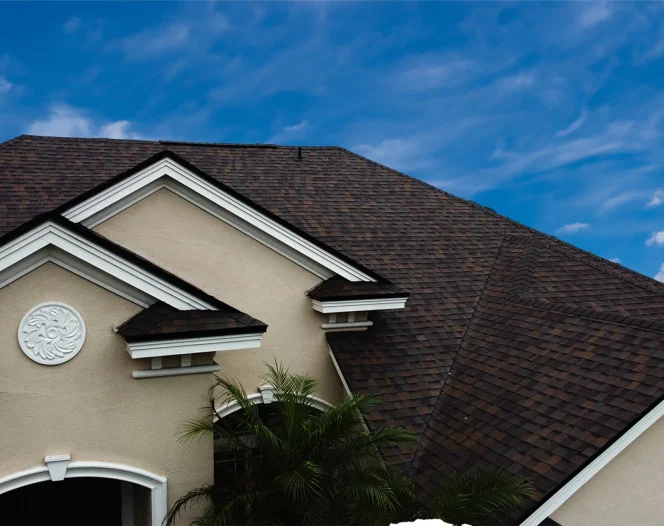 Trusted Roofing Services in Tampa, FL