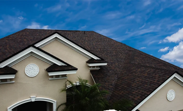 Trusted Roofing Services in Tampa, FL